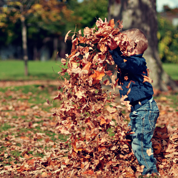 Falling Leaves, Growing Minds: A Season of Transformation