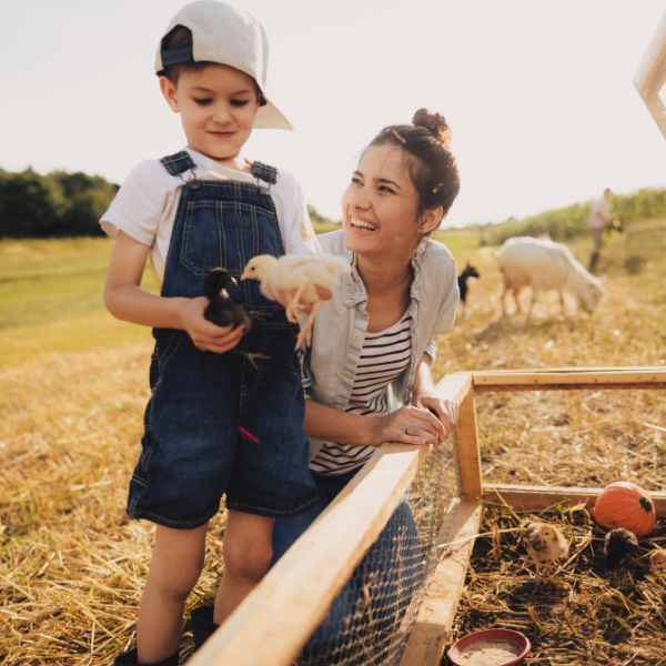 Sowing Seeds of Curiosity: Farm Toys for Montessori Learners