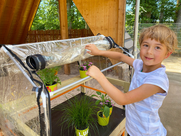 Furniture: Mobile Greenhouse