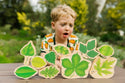 Stacking Leaves; Leaf Identification