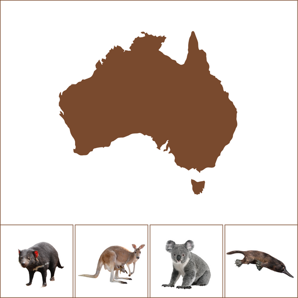 Matching Animals of the Continents