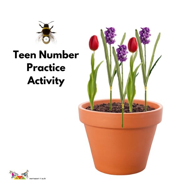 Digital Download: Teen Counting with Bees and Flowers