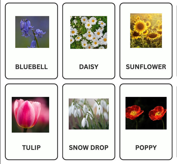 Flower Nomenclature Cards