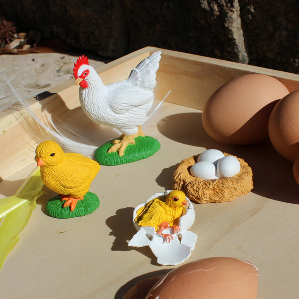 Lifecycle Replicas: Chicken Stages