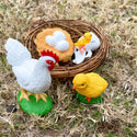 Lifecycle Replicas: Chicken Stages